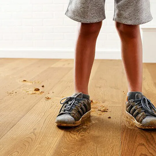 dirt-derbis-hardwood-square Hardwood cleaning | Floors In Motion