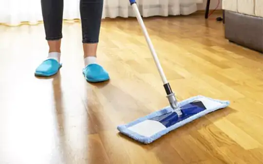 Vinyl cleaning | Floors In Motion